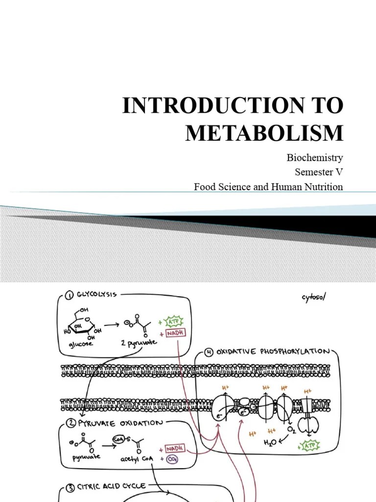 Lecture 5 - Biochemistry | PDF | Adenosine Triphosphate | Adenosine Diphosphate