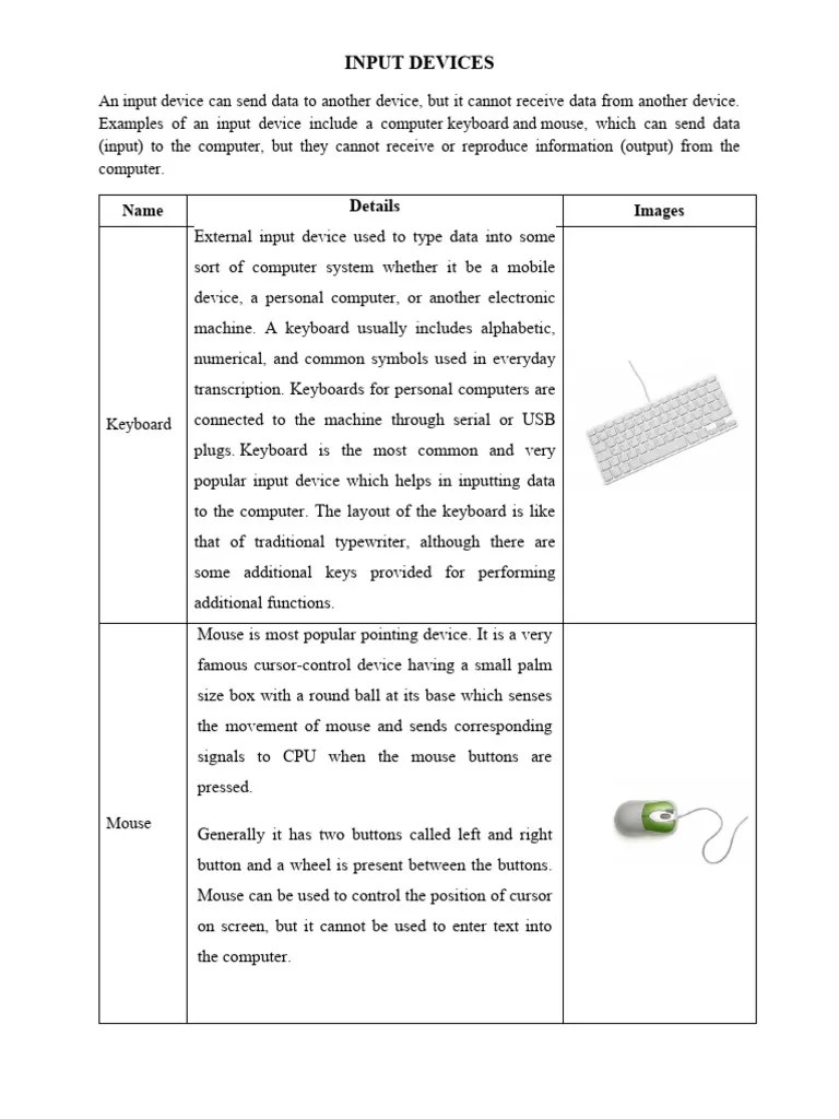 Input And Output Devices | PDF