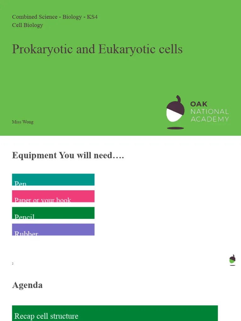 Prokaryotic And Eukaryotic Cells? - Presentation | PDF | Cell (Biology) | Prokaryote
