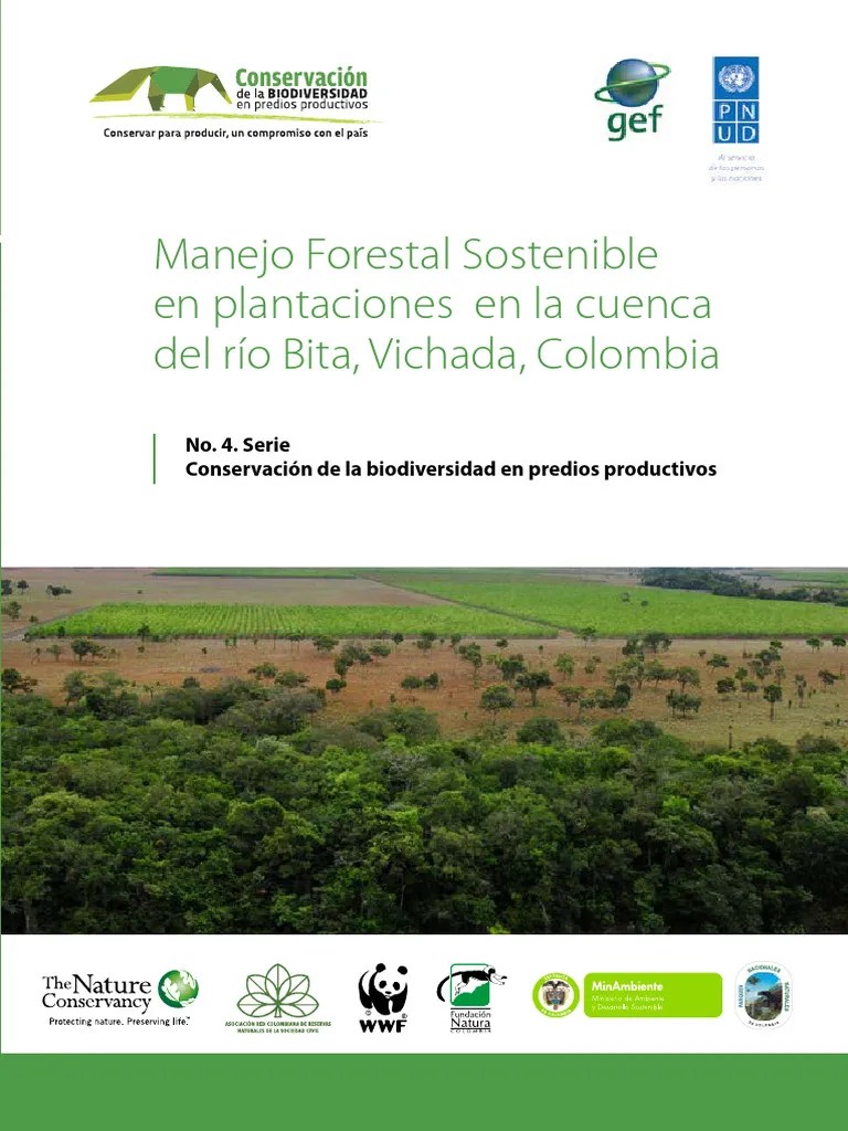 Libro Forestal G5 Final | PDF | Los Bosques | Colombia