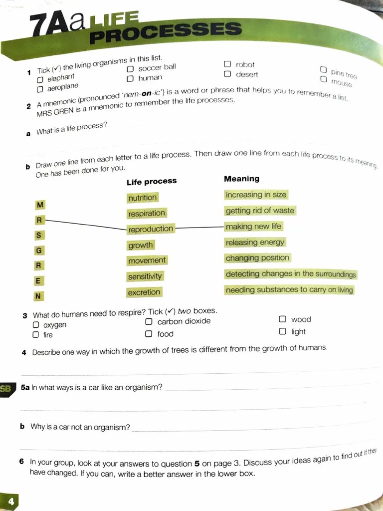 Exploring Science 7aa - Life Processes | PDF | Nature
