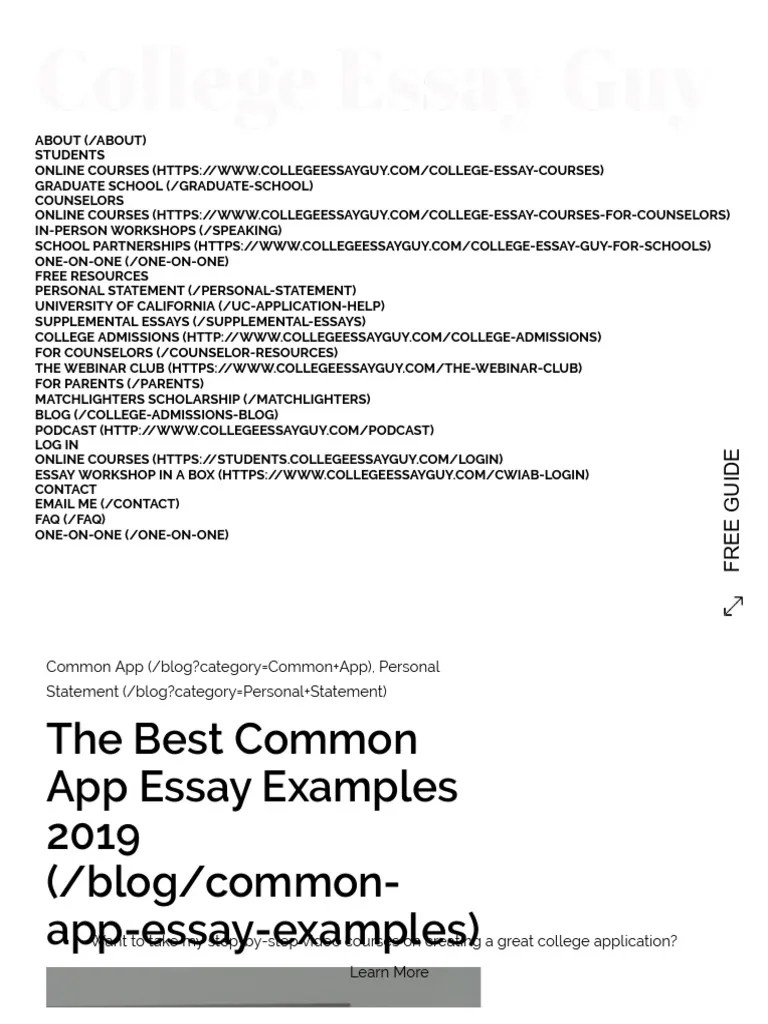 The Best Common App Essay Examples 2019 | PDF | Cosmetics | Essays