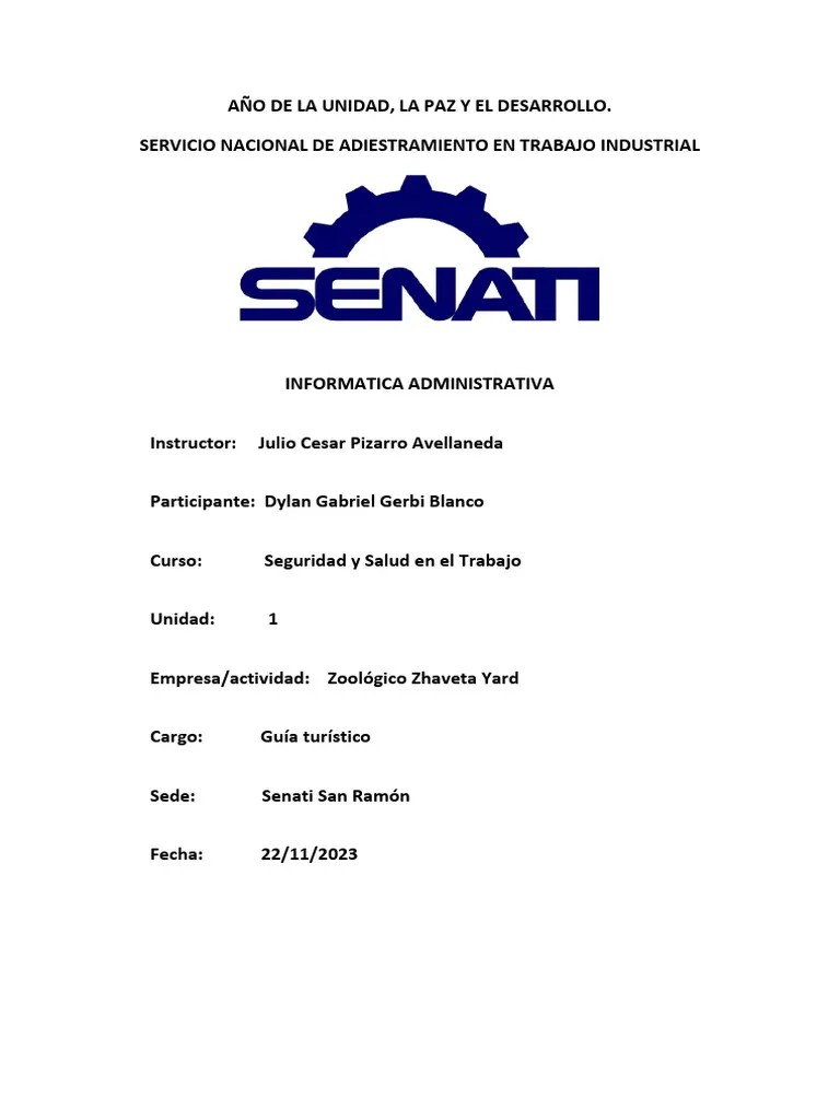 Actividad Practica 01-Seguridad Y Salud En El Trabajo | PDF | Business | Valores