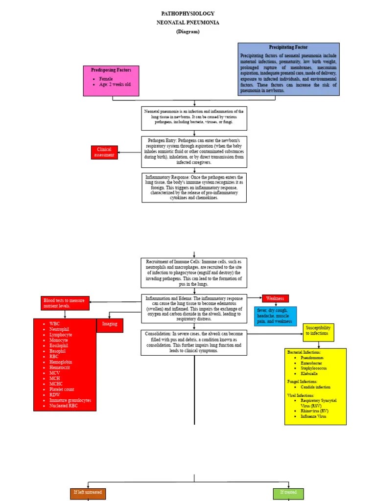 Neonatal Pneumonia Pathophysiology - FINAL | PDF | Pneumonia | Inflammation
