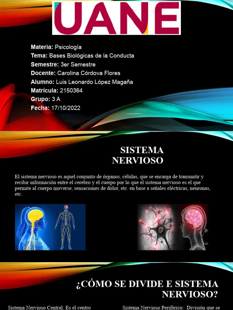 Bases Biologicas De La Conducta | PDF | Sistema Nervioso | Cerebro
