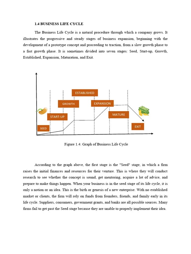Business Life Cycle | PDF | Startup Company | Small Business ...