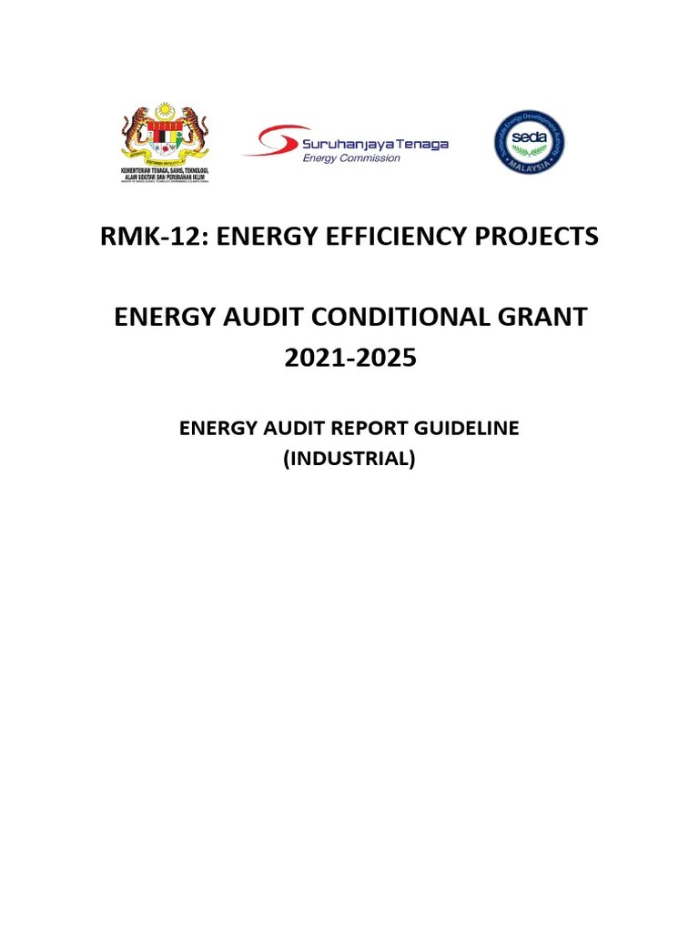 General Guideline Of Energy Audit Report Industrial Sector | PDF | Energy Conservation | Audit