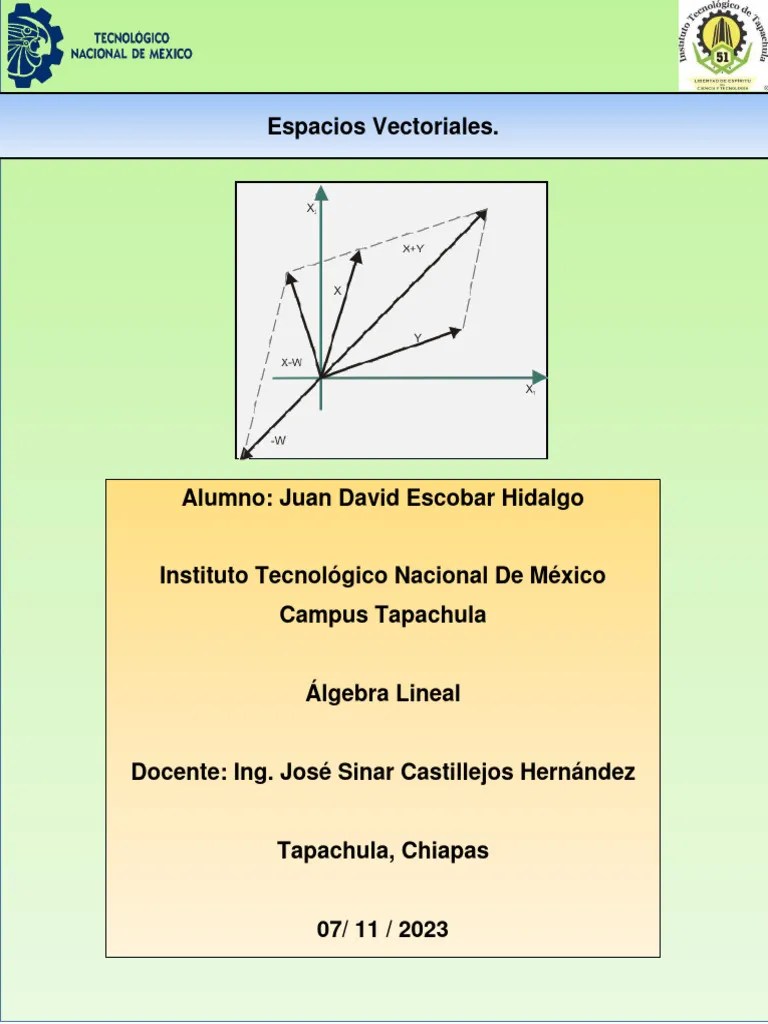 Tema 4 Álgebra Lineal Espacios Vectoriales PDF | PDF | Espacio Vectorial | Vector Euclidiano