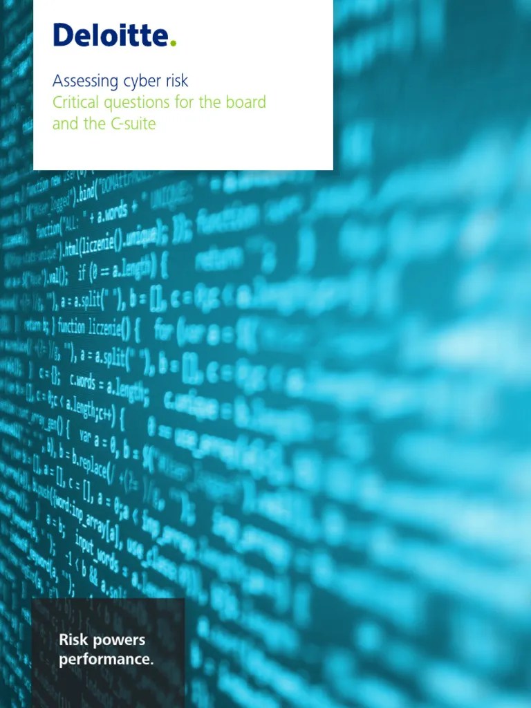 Assessing Cyber Risk | PDF | Risk | Cyberwarfare