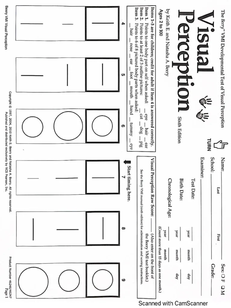 Perception Visual | PDF