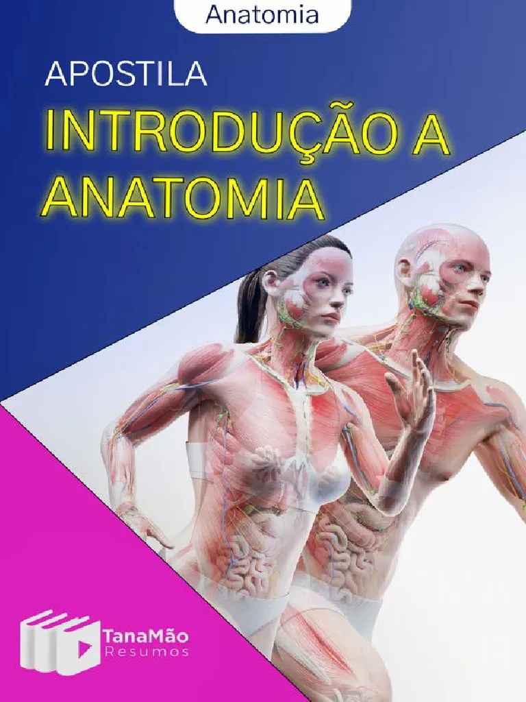 0 - APOSTILA Introdução A Anatomia (2) | PDF | Anatomia | Corpo Humano