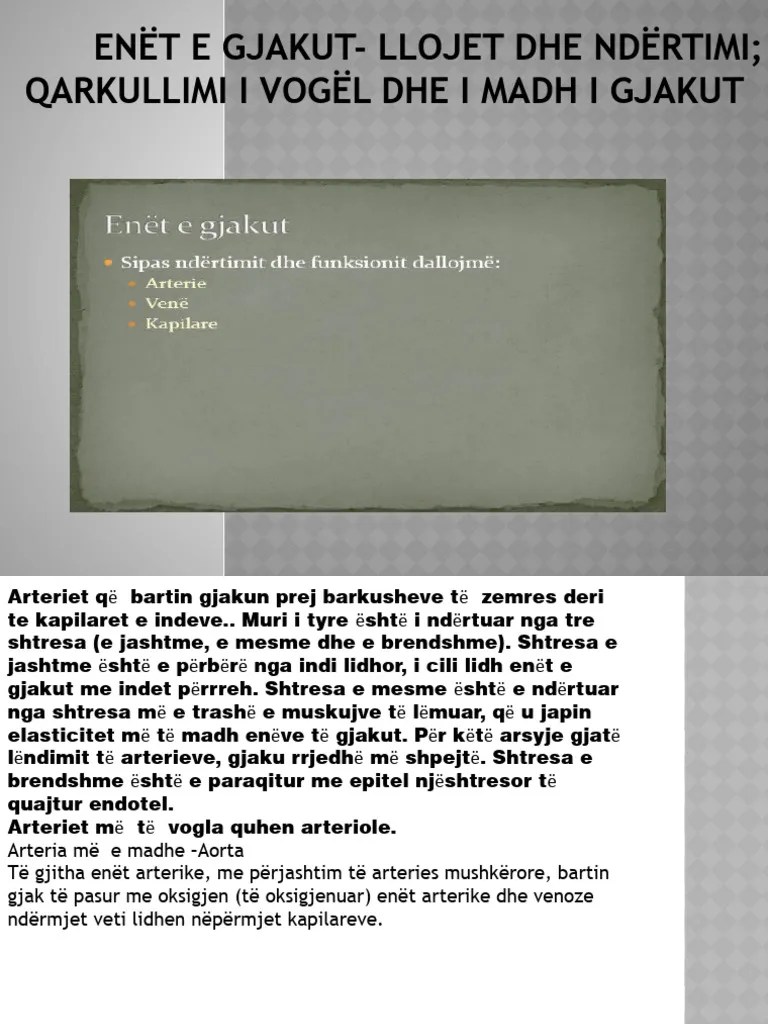 Enët E Gjakut - Llojet Dhe Ndërtimi | PDF