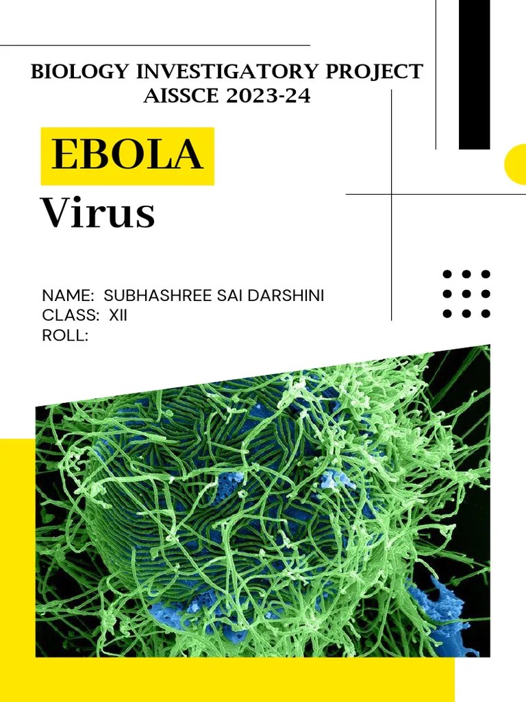 Ebola | PDF