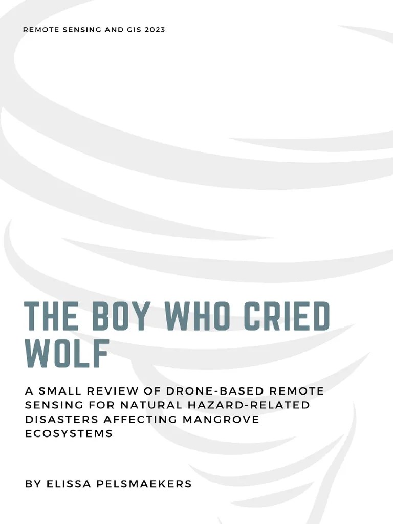 Review On Drone-based Remote Sensing GIS Assignment | PDF