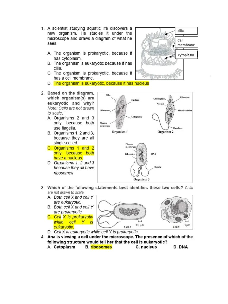 Biology Reviewer | PDF | Cell (Biology) | Prokaryote