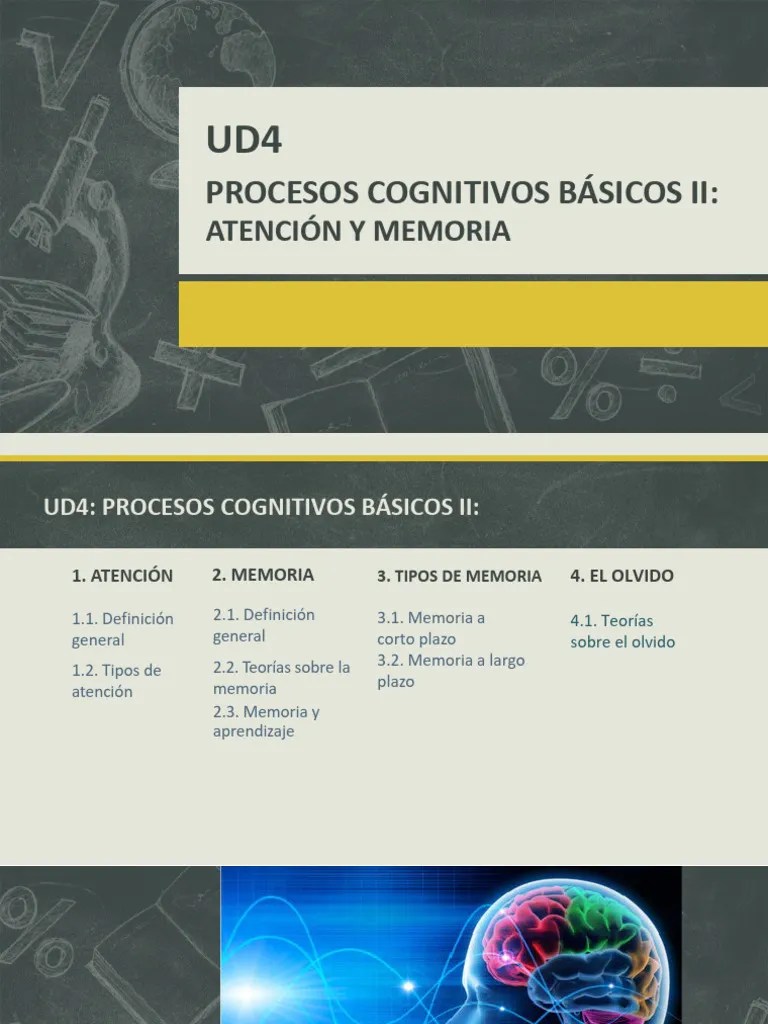 UD4 - Procesos Cognitivos Básicos - Atención Y Memoria | Descargar Gratis PDF | Memoria ...