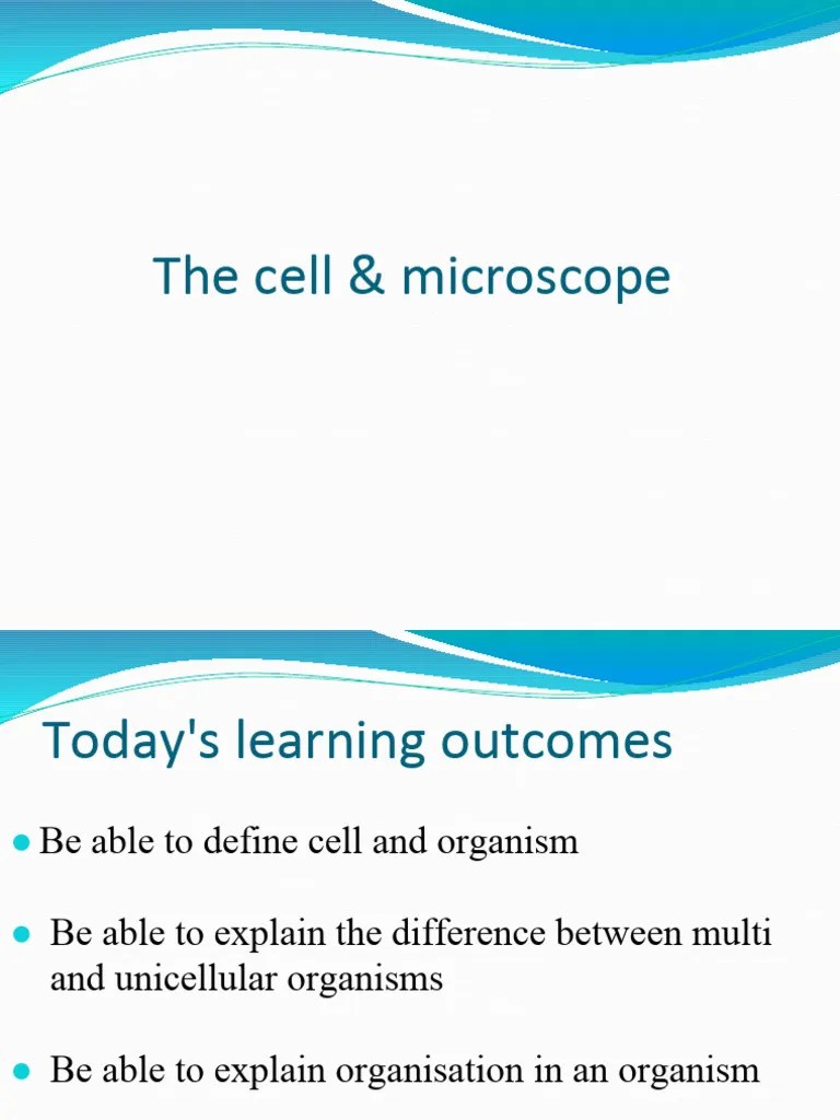 Cells And Microscope Complete | PDF | Cell (Biology) | Organisms