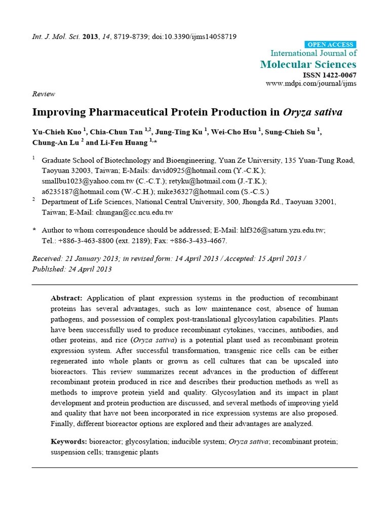 Improving Pharmaceutical Protein Production In Oryza Sativa | PDF ...