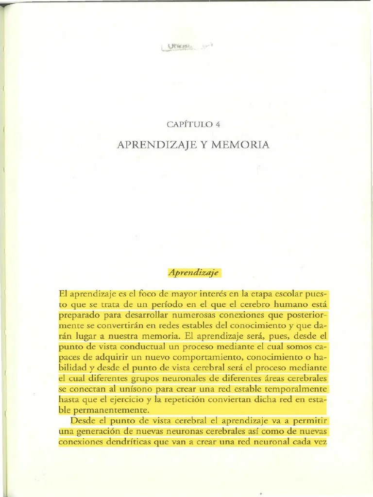 Aprendizaje Y Memoria | PDF | Memoria | Aprendizaje