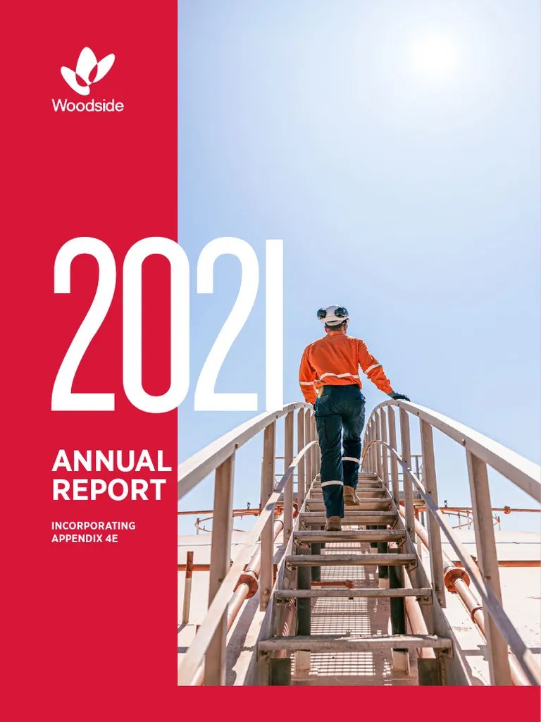 Annual Report 2021 | PDF | Dividend | Mergers And Acquisitions