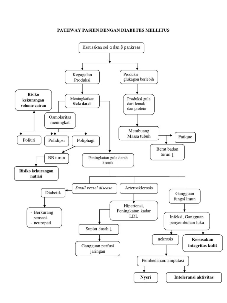 Insulin muss in die blutbahn gelangen, um wirken zu können. Pathway Pasien Dengan Diabetes Mellitus Pdf