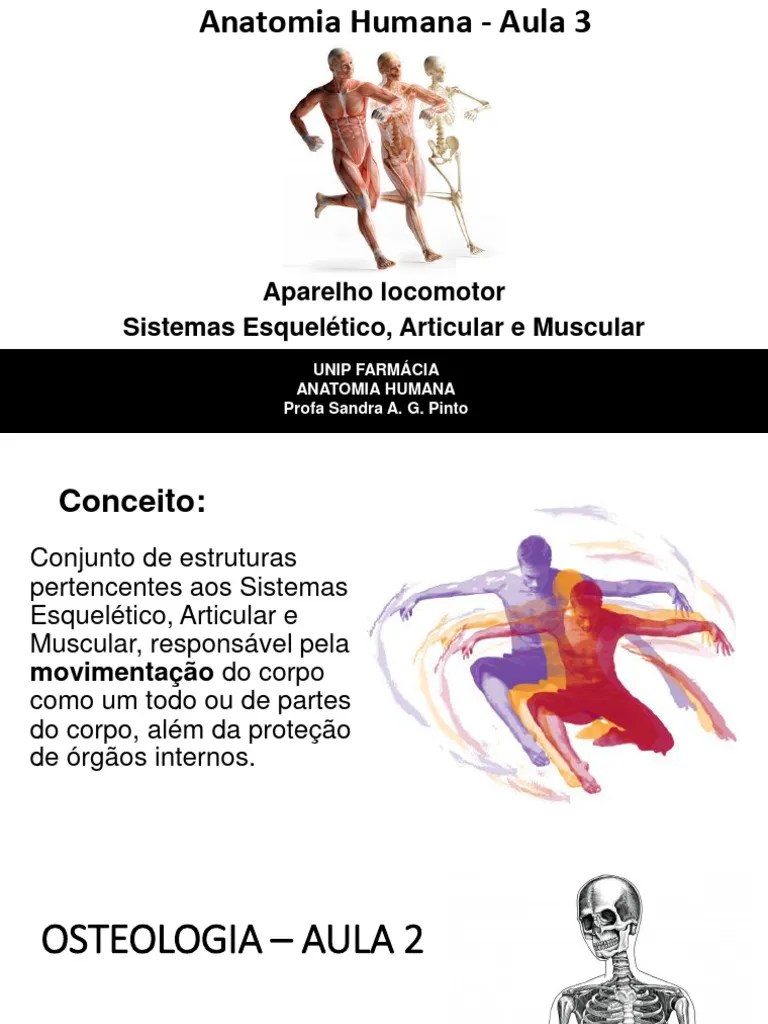 Anatomia Aula 3 Sistema Locomotor Musculo Esquelético E Articulação Dar ...