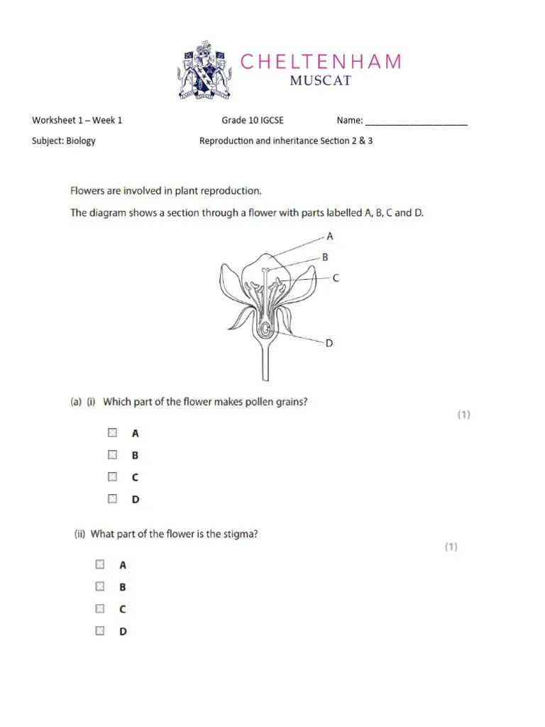 Worksheet 2 On Reproduction IGCSE Biology | PDF