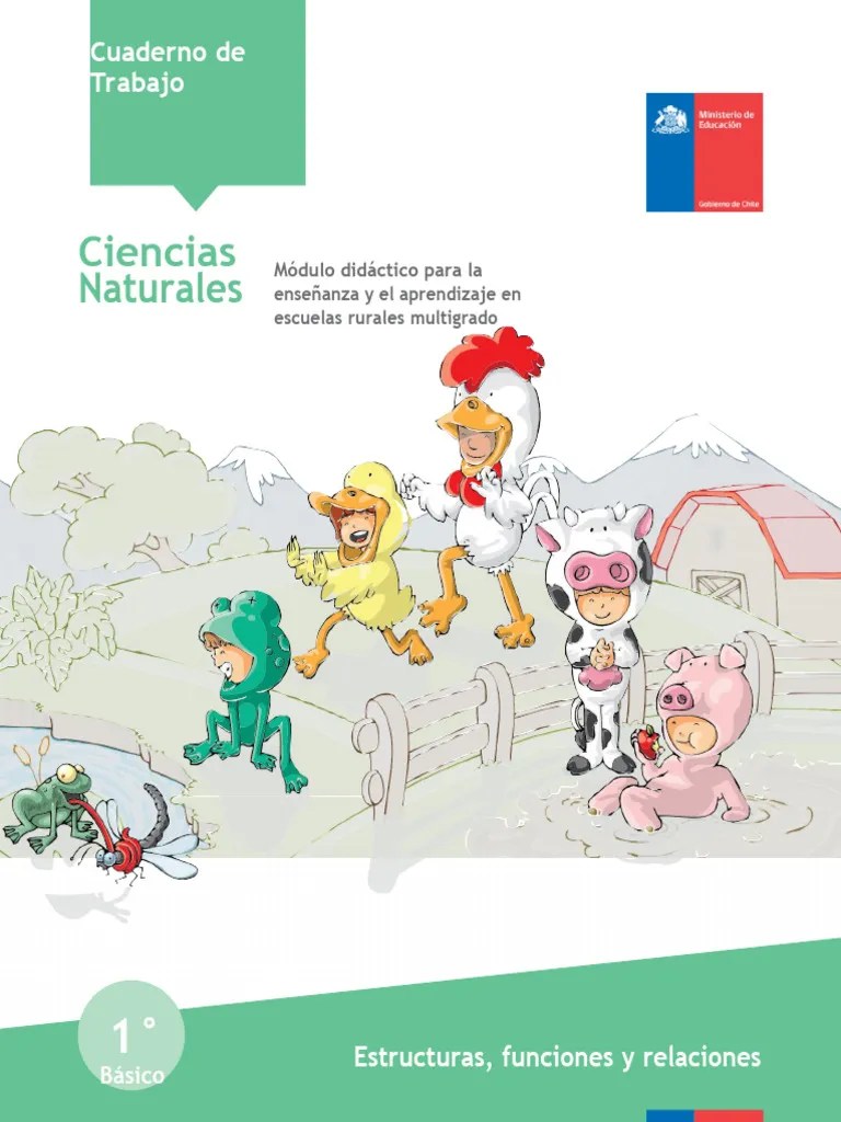 Los Seres Vivos | PDF | Plantas | Fruta