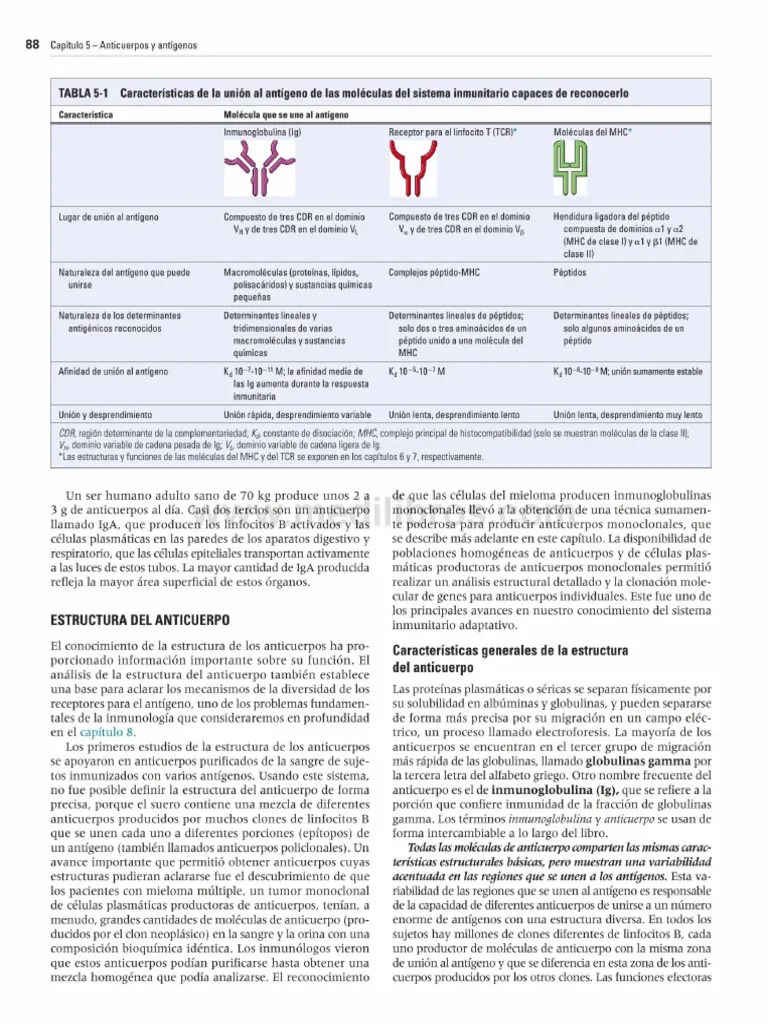 Capitulo 5 Anticuerpos | PDF