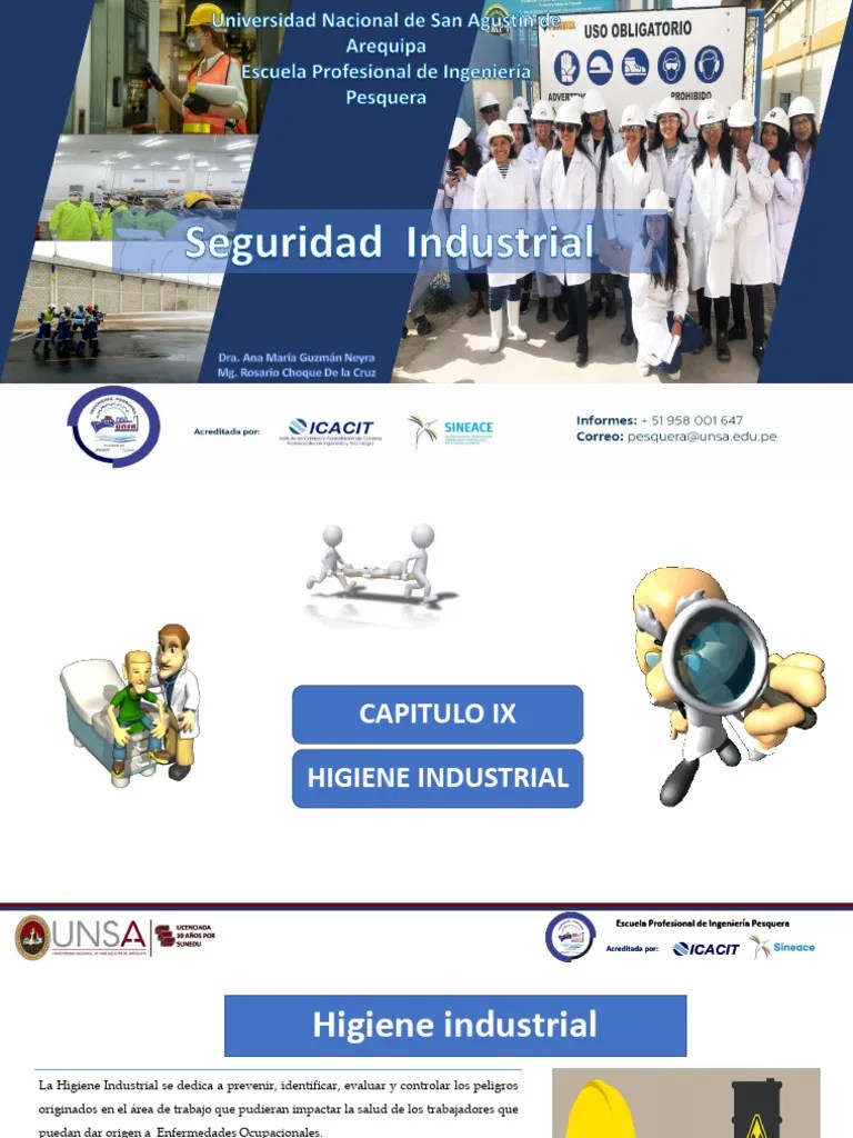 Cap. 9 Enfermedades Ocupacionales O Profesionales En El Perú | PDF | Higiene Ocupacional ...