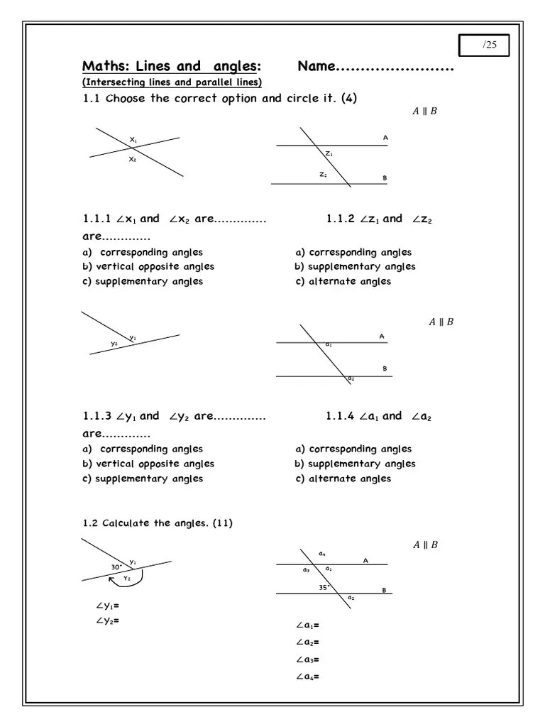 GR 7:8 MATHS Angles - 1 | PDF | Angle | Euclidean Geometry