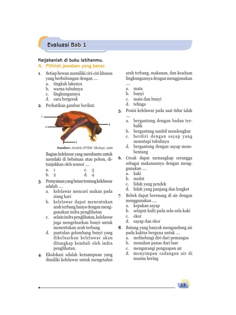 Contoh soal ipa (sains) kelas 6 sd atau mi tahun . Kumpulan Soal Ipa Sd Kelas 6 Pdf