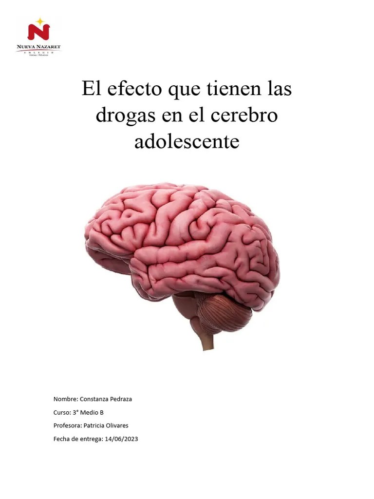 Efectos De Las Drogas En El Cerebro Adolescente | PDF | Cerebro | Sistema Nervioso Central
