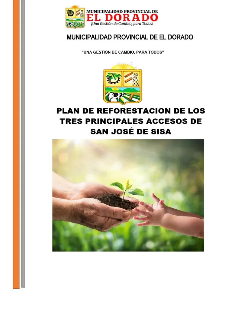 Plan De Reforestacion | PDF | Los Bosques | Deforestación