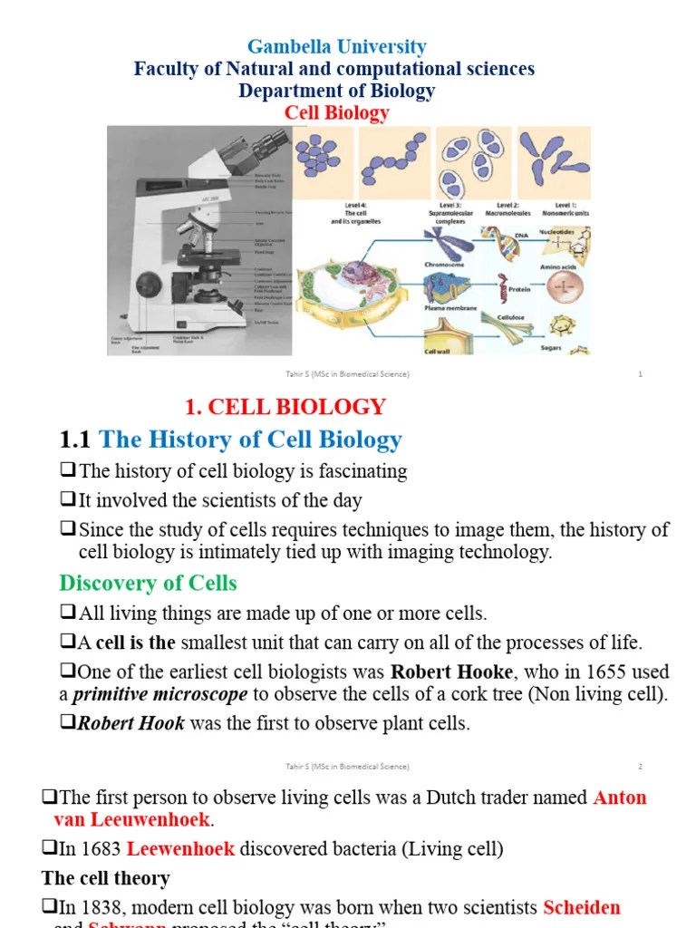Cell Biology | PDF | Cell Membrane | Endoplasmic Reticulum