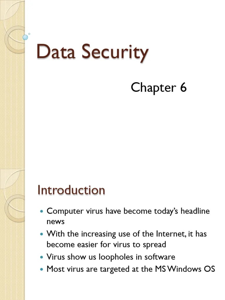 Chapter 6 - Data Security Issues | PDF