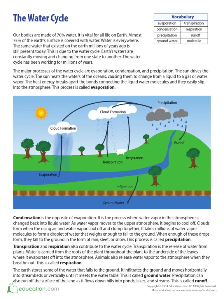 Water-cycle sheet