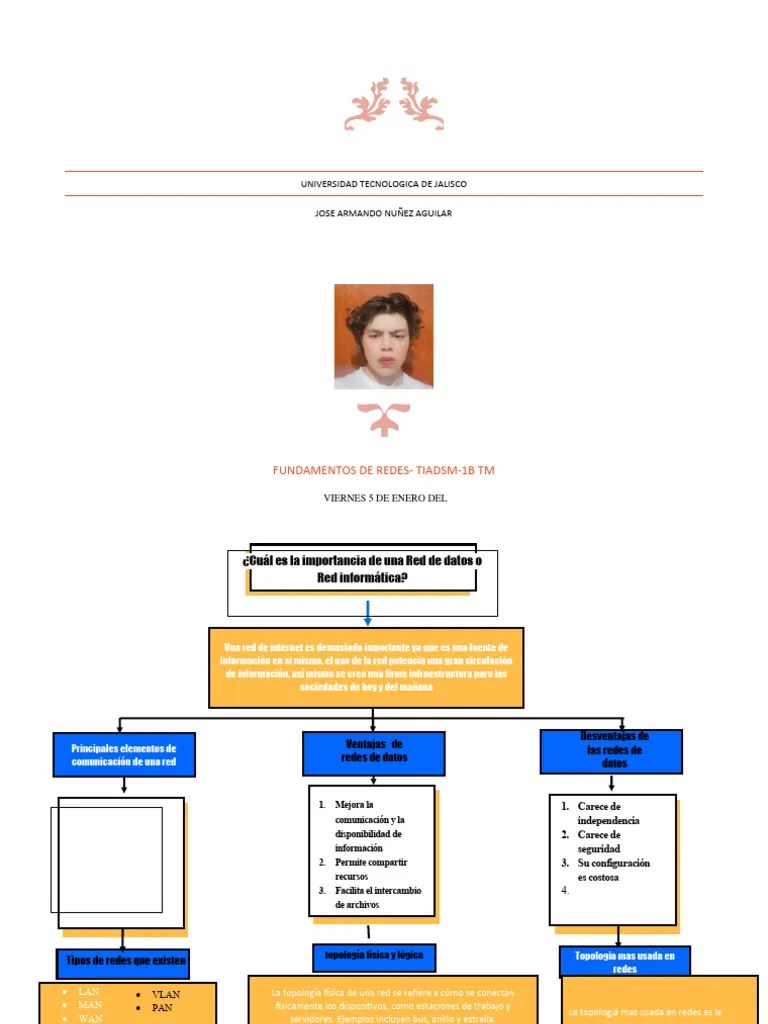 Mapa Conceptual Redes-Jana | PDF