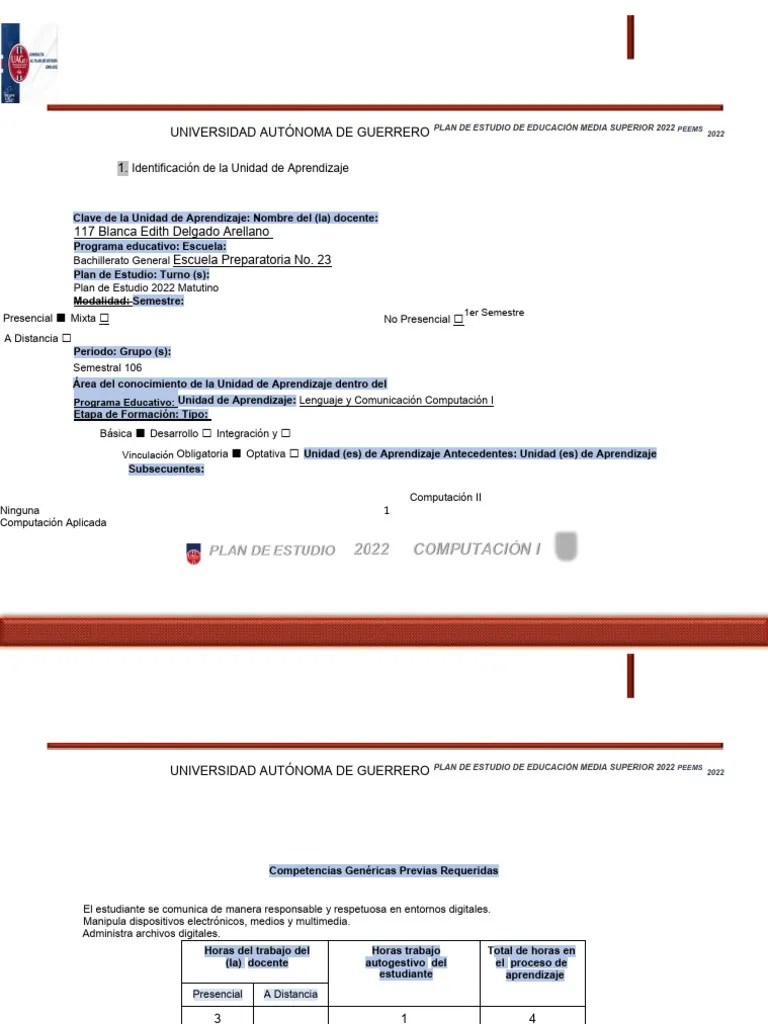 Programa De Computacion I | PDF