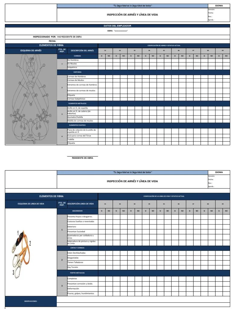 INSPECCION ARNES | PDF
