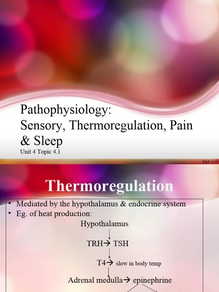 4.1 Sensory, Temperature, Pain, Sleep (s) | PDF | Fever | Hyperthermia