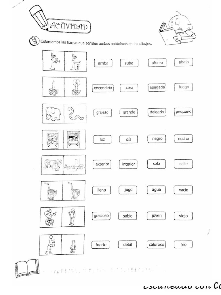 Ficha 17 Primer Grado Comunicaci N Pdf - Classic Ultra HD Mountain Designs | Free Download