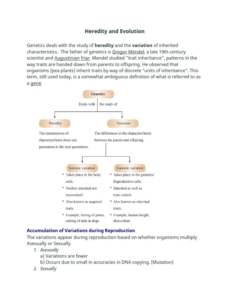 Heredity Notes | PDF | Dominance (Genetics) | Heredity