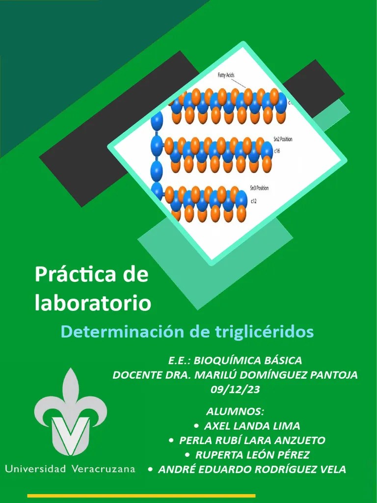 Práctica Determinación Triglicéridos | PDF | Triglicéridos | Lípido