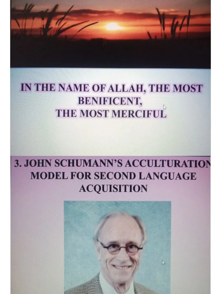 Acculturation Model (SLA) | PDF