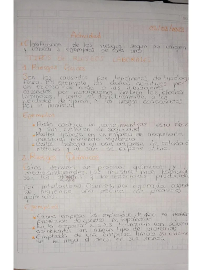 Riesgos Laborales | PDF