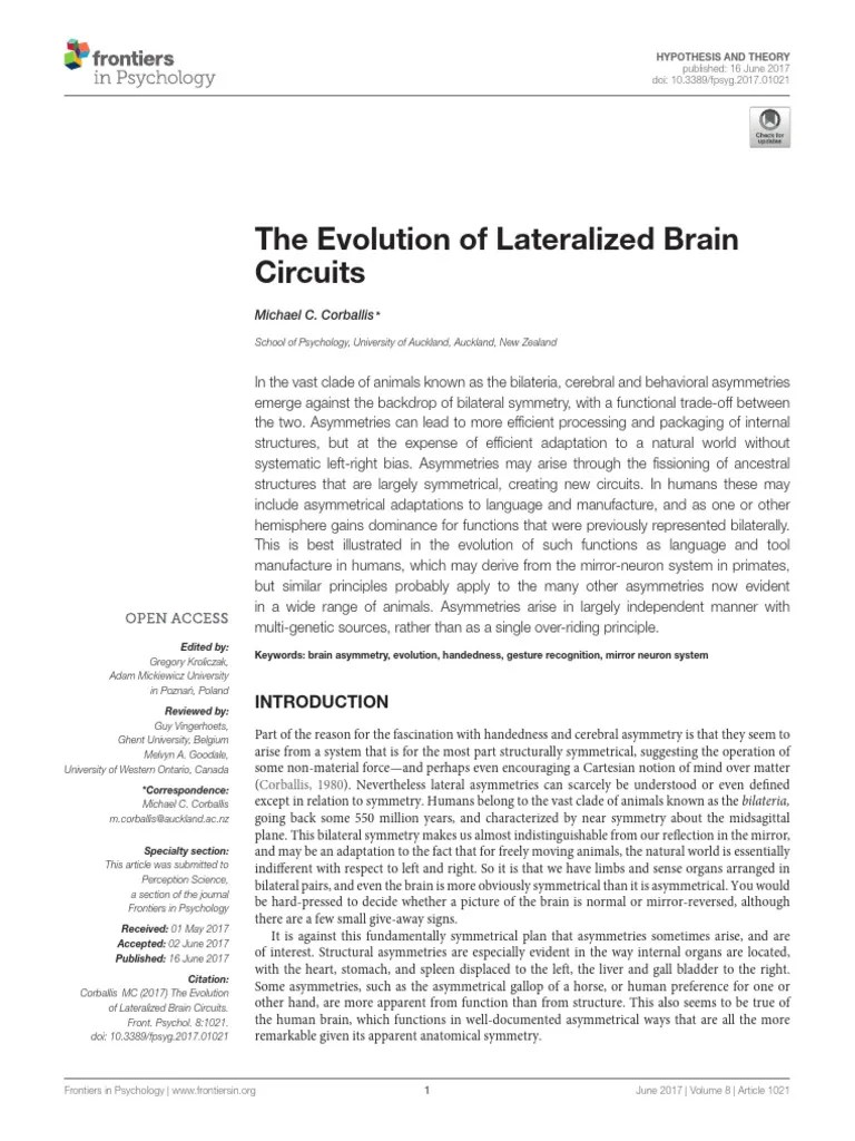 Corballis 2017 BrainLateralization Evolution | PDF | Handedness | Lateralization Of Brain Function