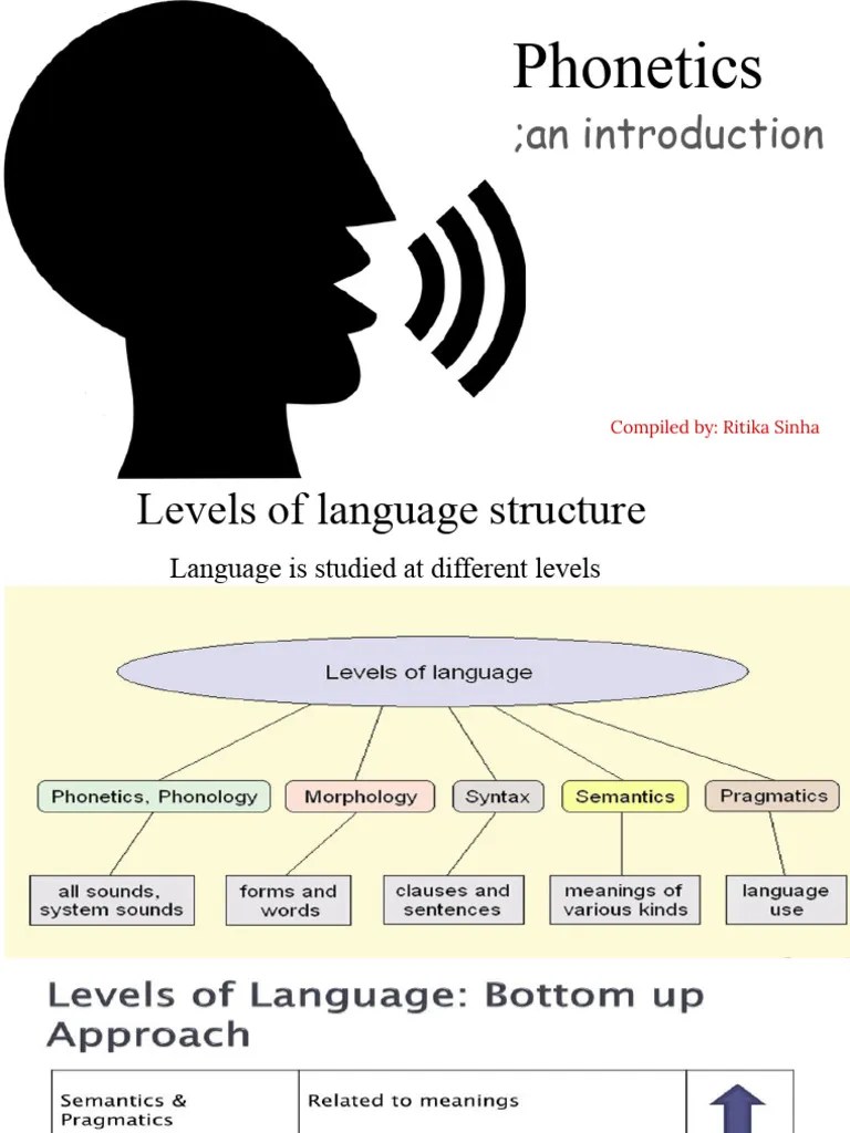 Phonetics Introduction | PDF | Foreign Language Studies