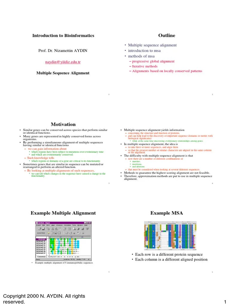 Msa Notes | PDF | Sequence Alignment | Conserved Sequence