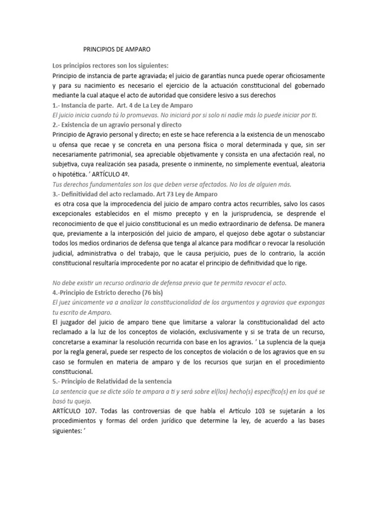 Principios De Amparo | PDF | Sentencia (ley) | Juez